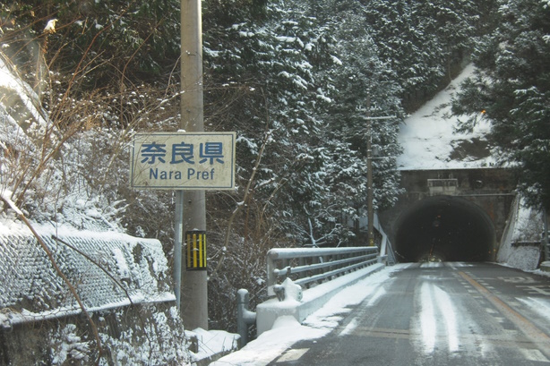 国道310号