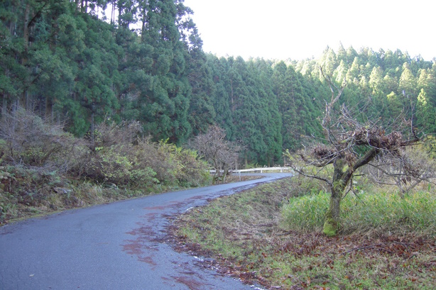 国道429号