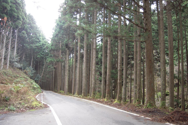 国道429号