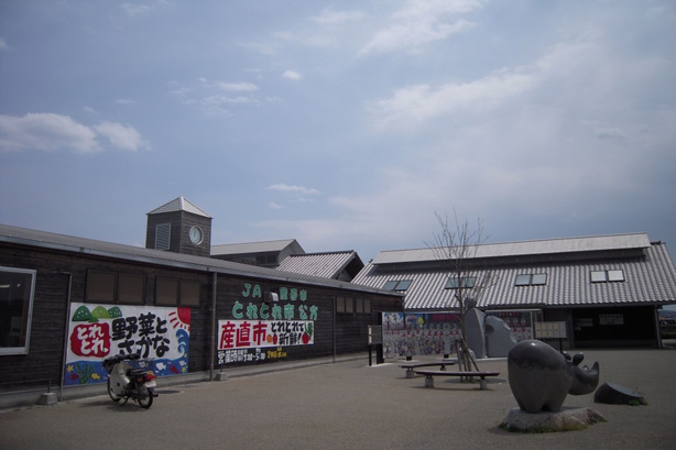 国道55号