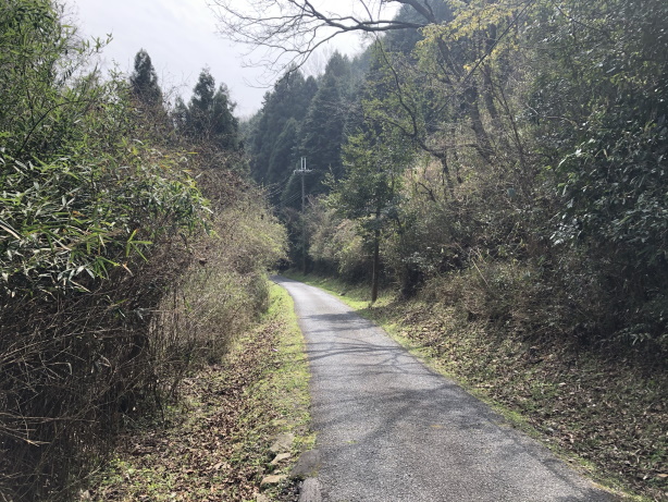 県道80号