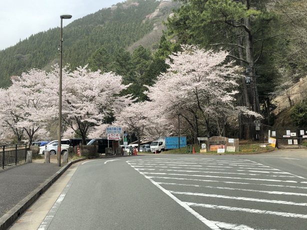 県道80号